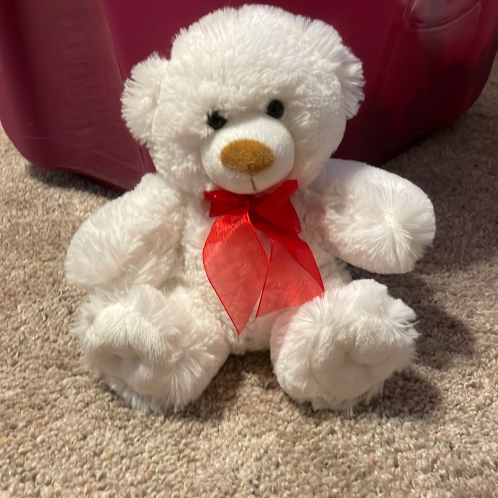 New stuffed animal